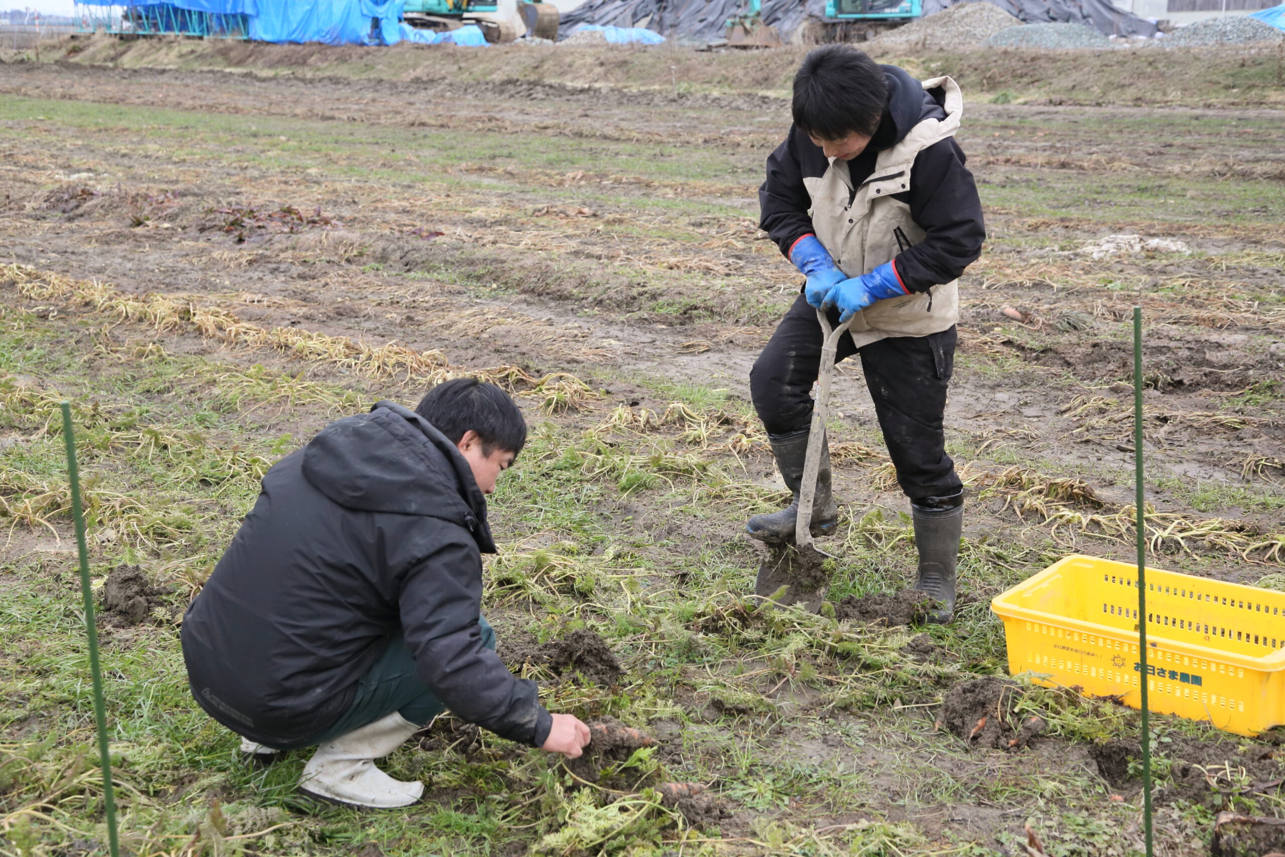 旬を分かち合う みんなの家庭菜園