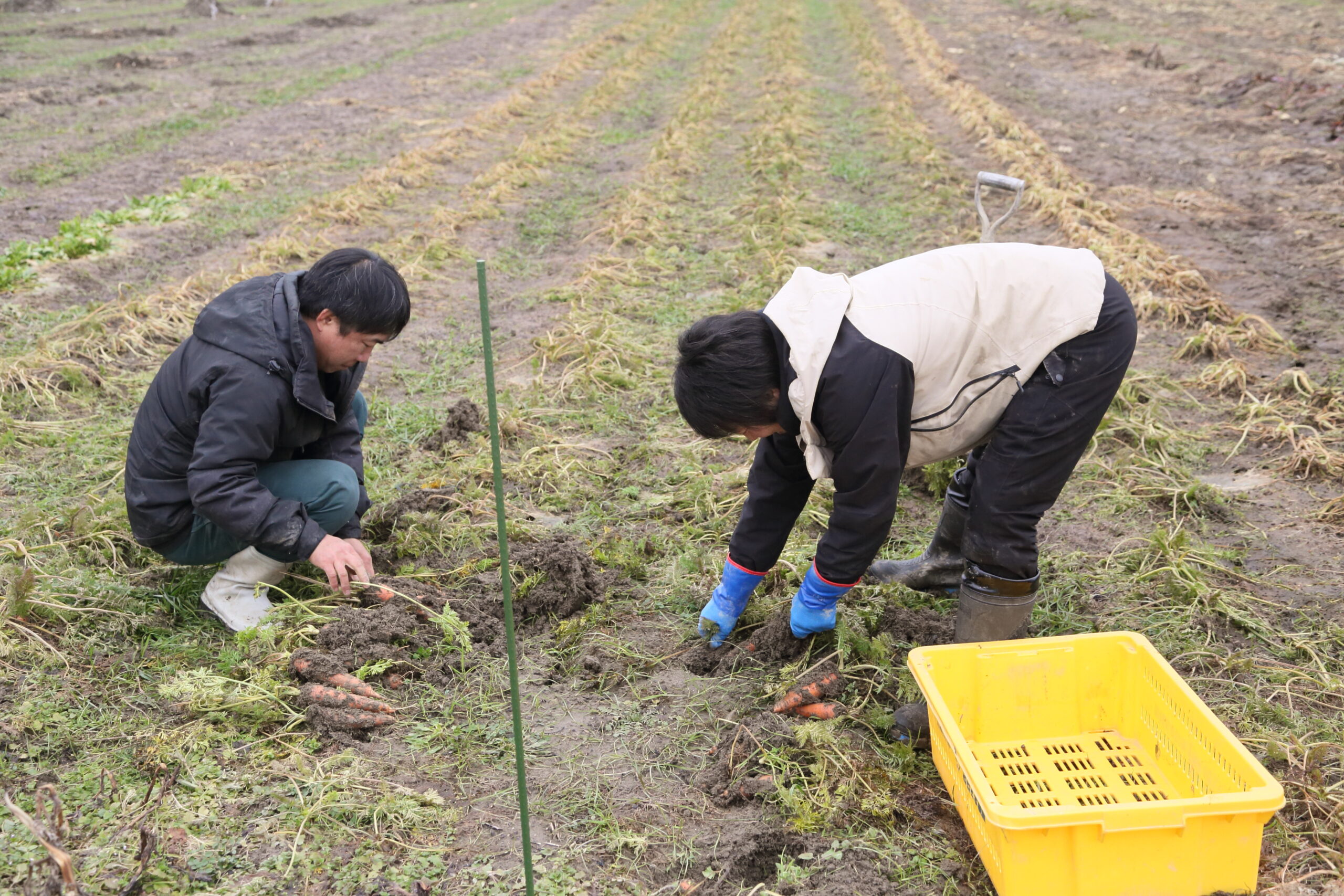 「個」を尊重し、穏やかに働く