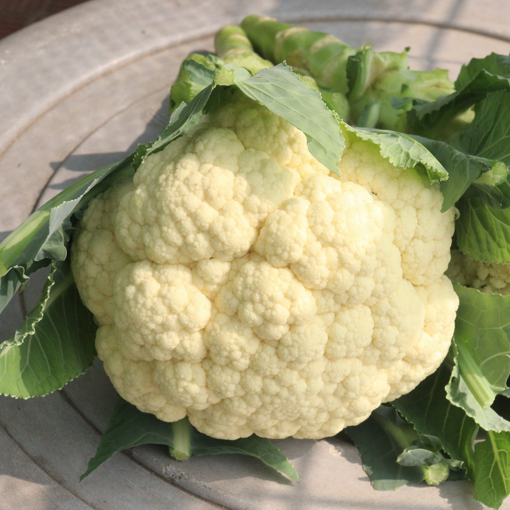 カリフラワー